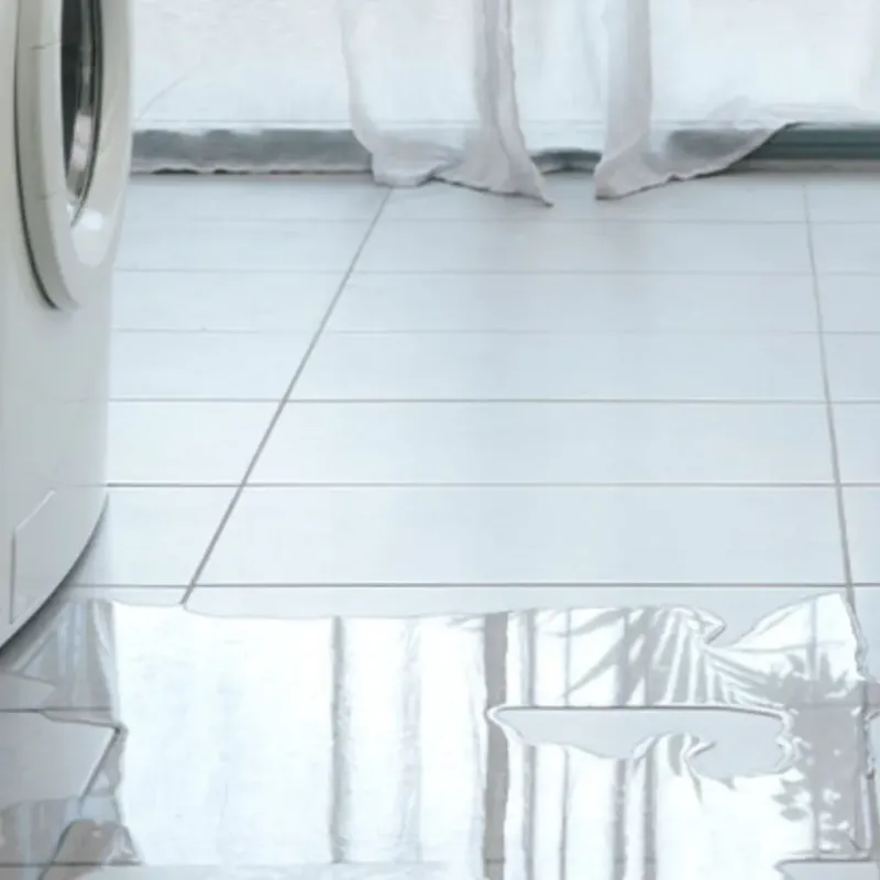 Appliance Leak Cleanup in Vidor, TX