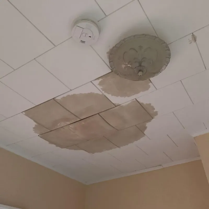Ceiling Water Damage Repair in Vidor, TX