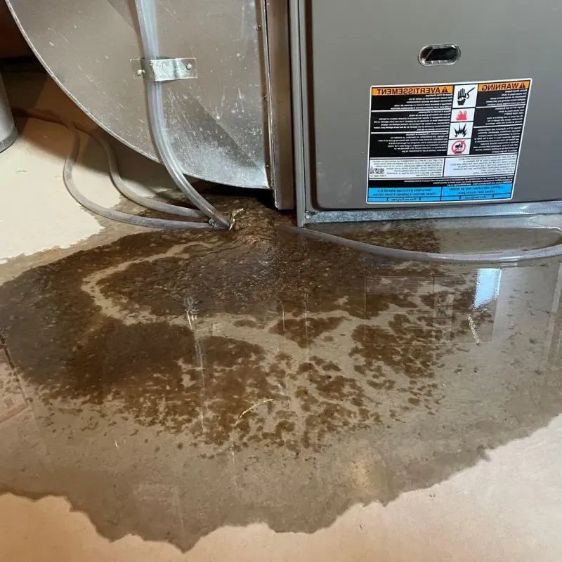 Pipe Burst and Leak Restoration in Vidor, TX