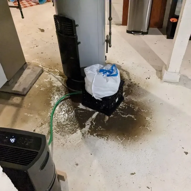 Sewage Backup Cleanup Service in Vidor, TX
